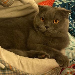 Meet your Posher, Serva